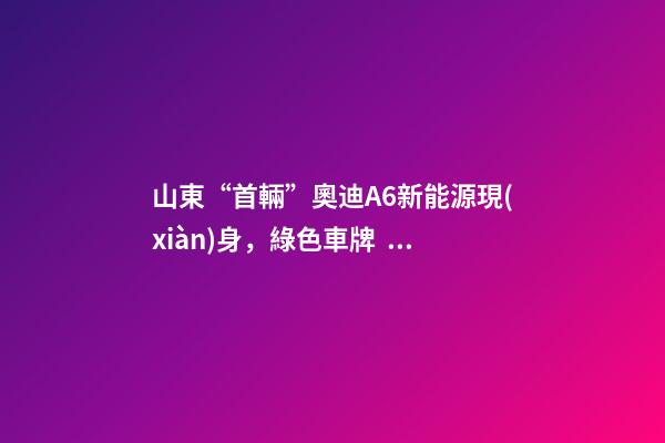 山東“首輛”奧迪A6新能源現(xiàn)身，綠色車牌，數(shù)字連號很吸睛！